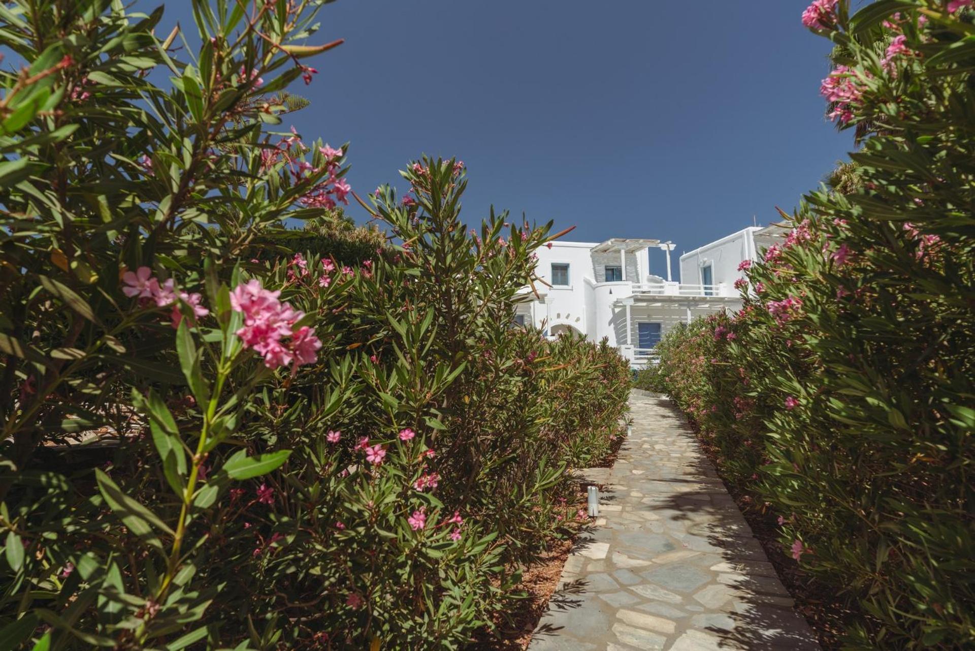 Palm Heaven Boutique Apartments Antiparos Town Extérieur photo